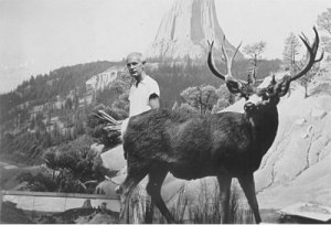 James Perry Wilson in Mule Deer diorama at the American Museum of Natural History, 1943. Photograph by Thanos Johnson